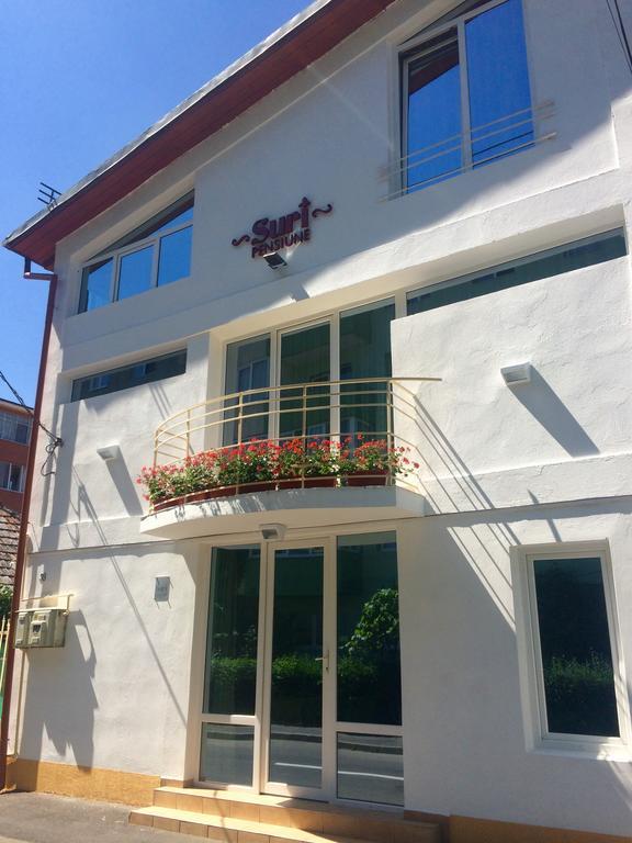 Suri Guesthouse Brassó Kültér fotó